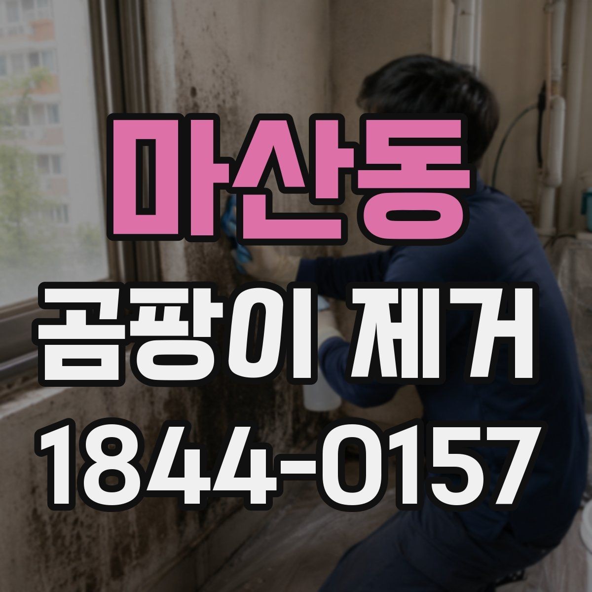 마산동 곰팡이 제거 오래 방치했을 때 생기는 문제