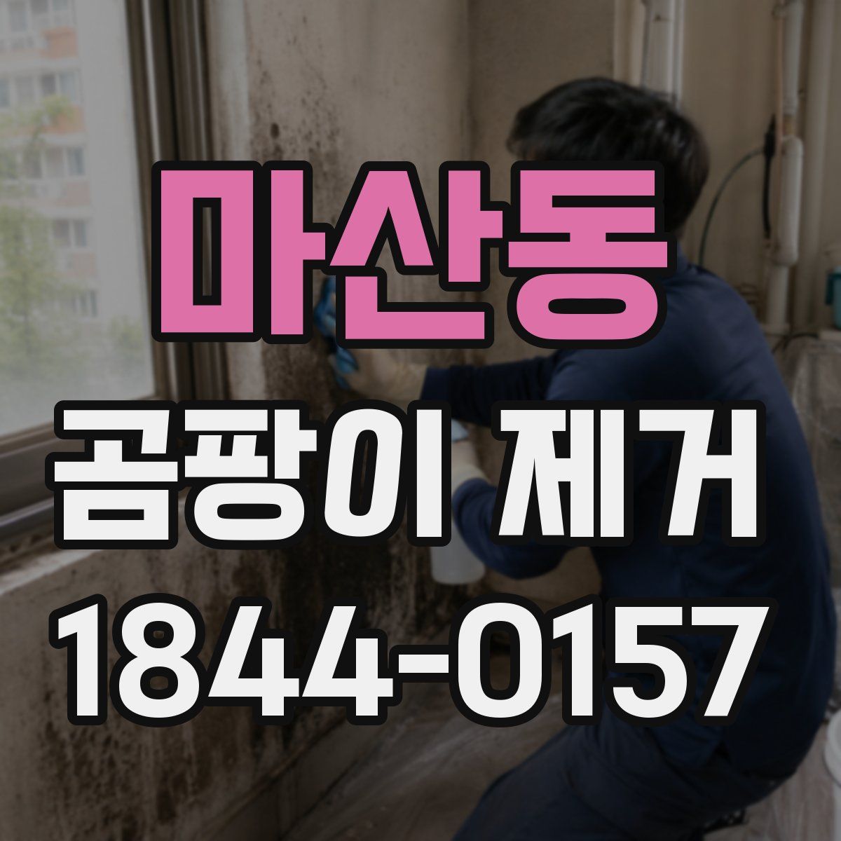 마산동 곰팡이 제거