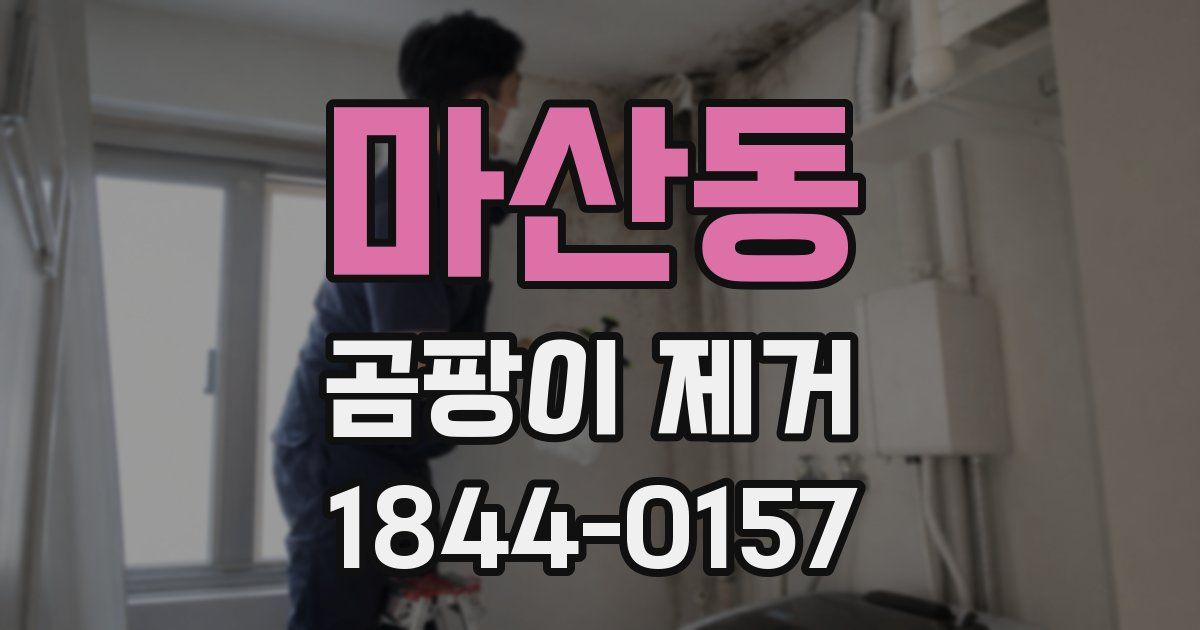 마산동 곰팡이 제거