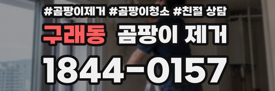 구래동 곰팡이 제거