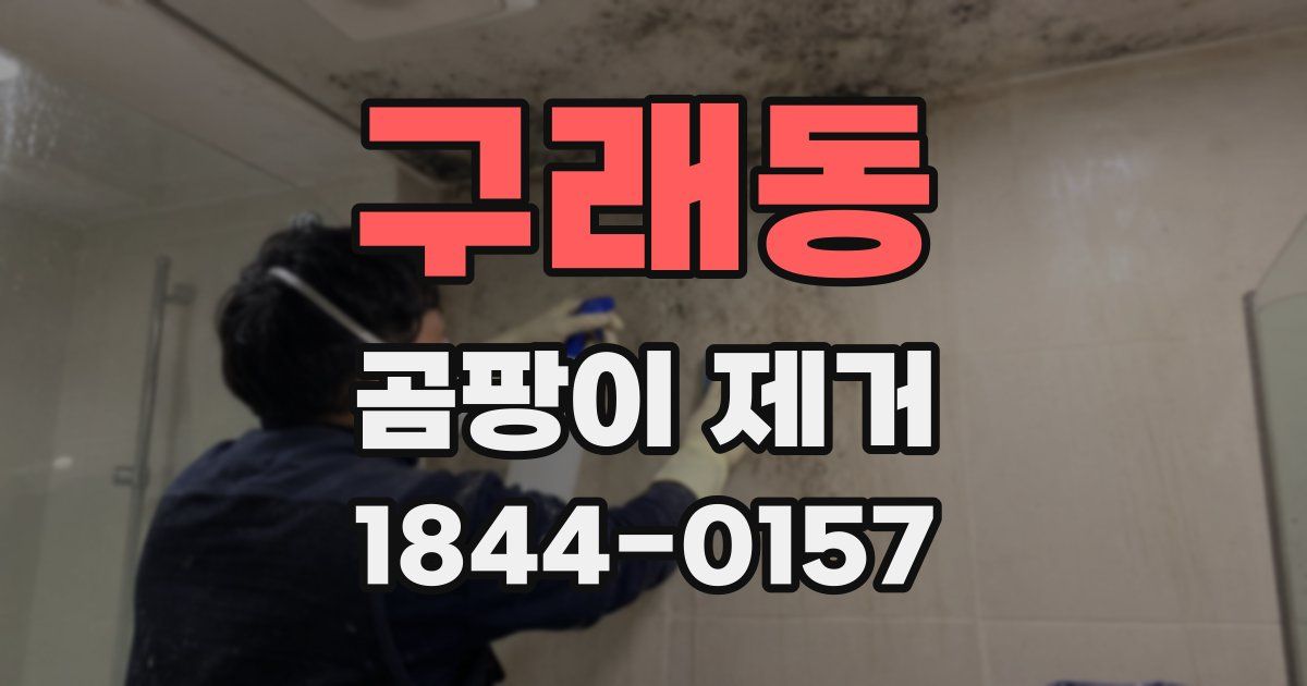 구래동 곰팡이 제거