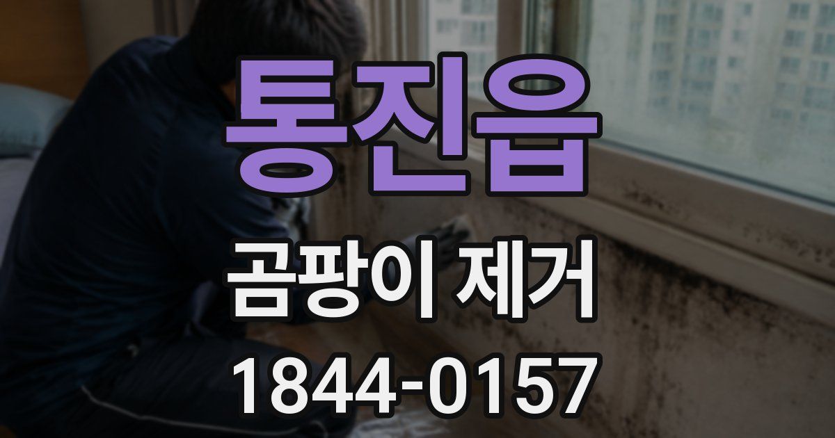 통진읍 곰팡이 제거