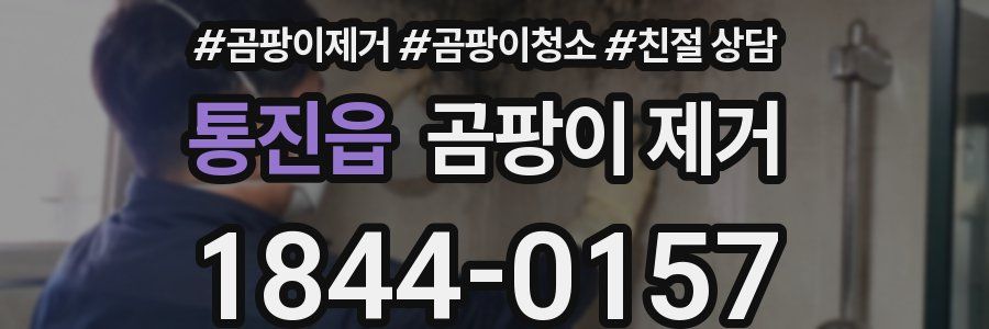 통진읍 곰팡이 제거