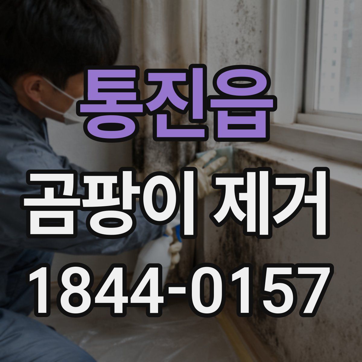 통진읍 곰팡이 제거