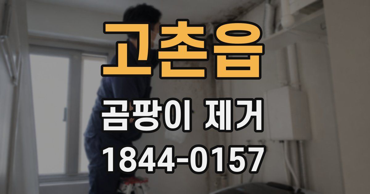 고촌읍 곰팡이 제거
