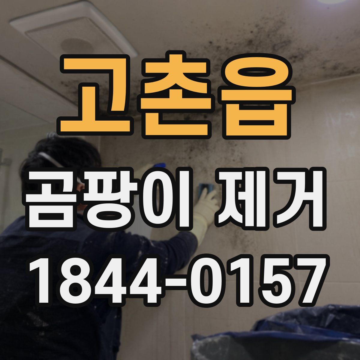 고촌읍 곰팡이 제거