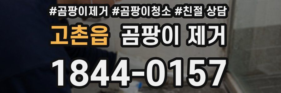 고촌읍 곰팡이 제거