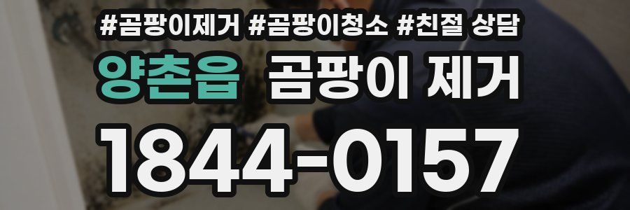 양촌읍 곰팡이 제거