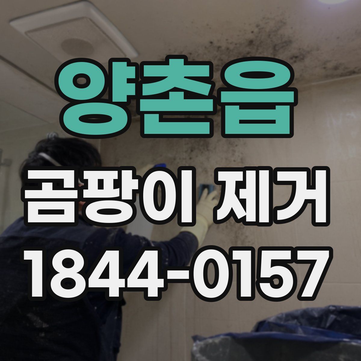 양촌읍 곰팡이 제거