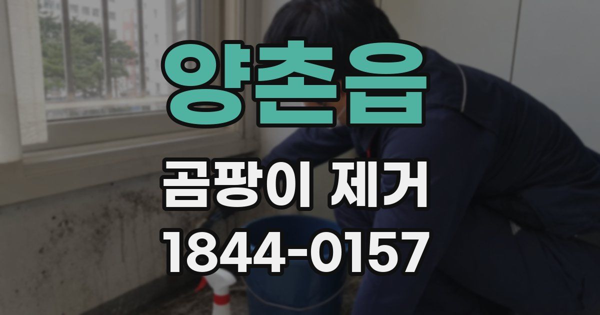 양촌읍 곰팡이 제거