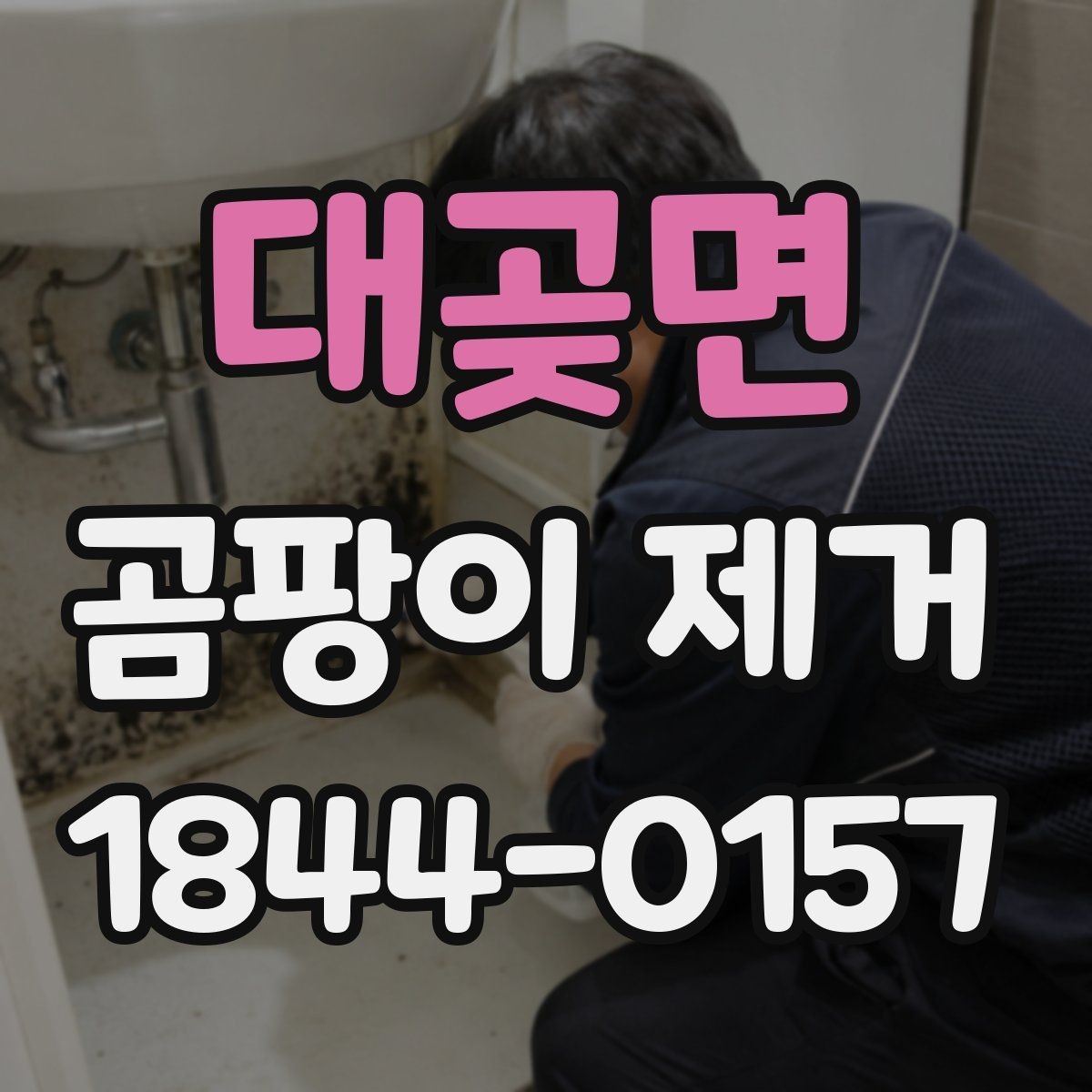 대곶면 곰팡이 제거 대상이 넓을 때 일정 잡는 방법