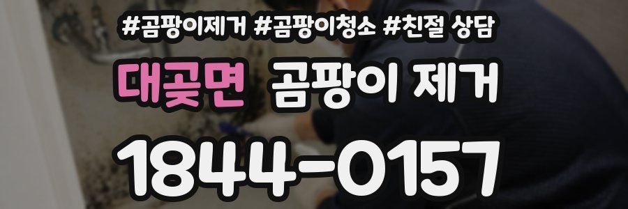 대곶면 곰팡이 제거