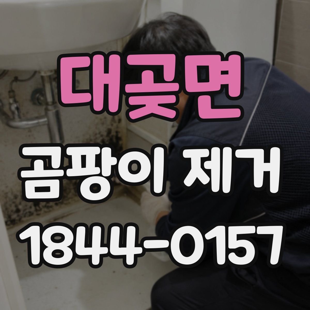 대곶면 곰팡이 제거