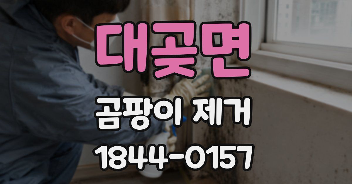 대곶면 곰팡이 제거