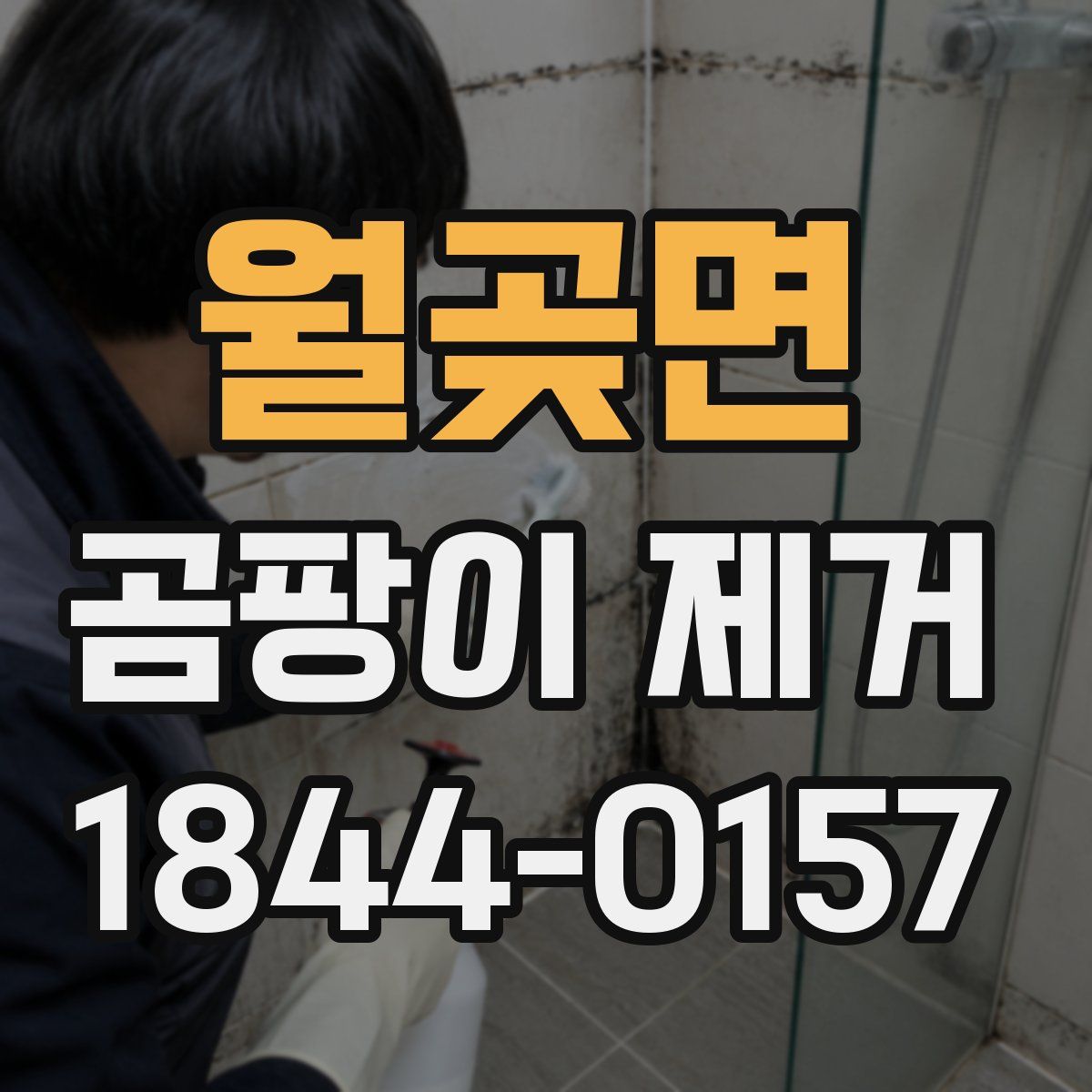 월곶면 곰팡이 제거