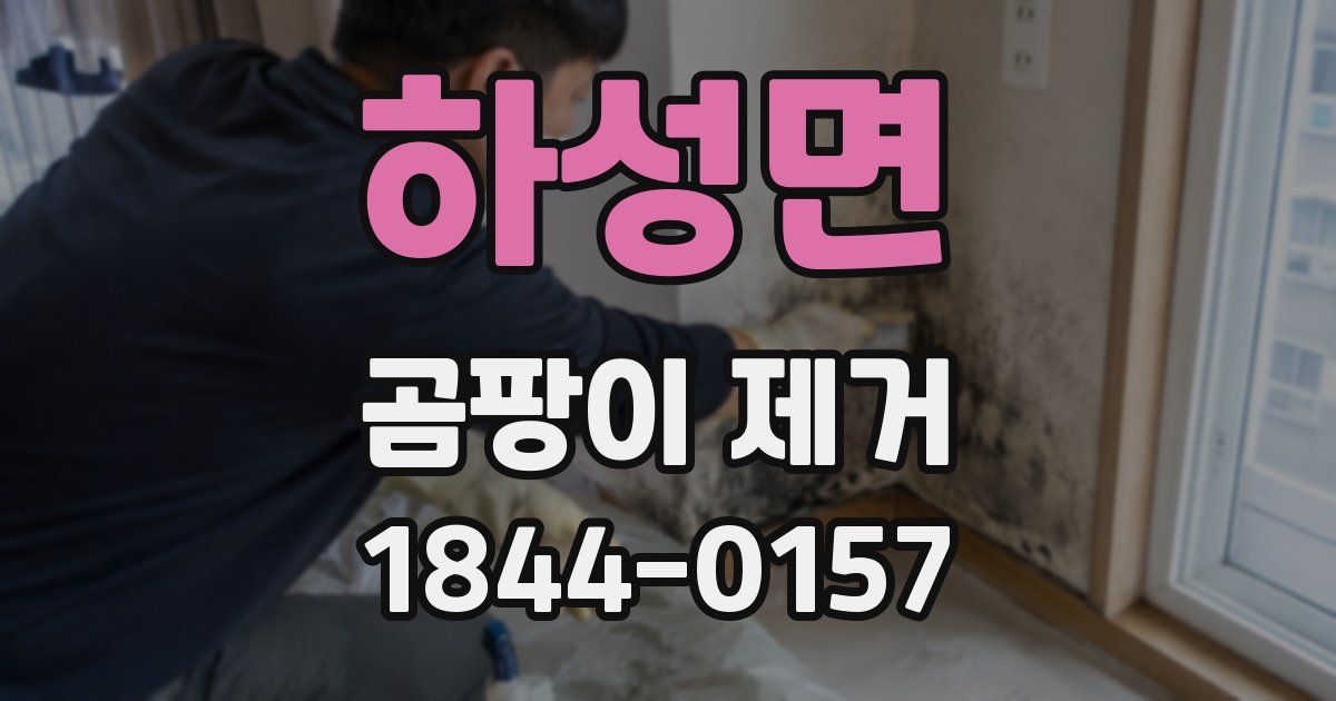 하성면 곰팡이 제거