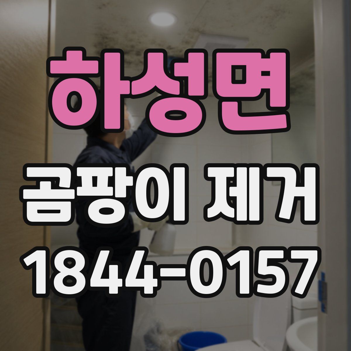 하성면 곰팡이 제거