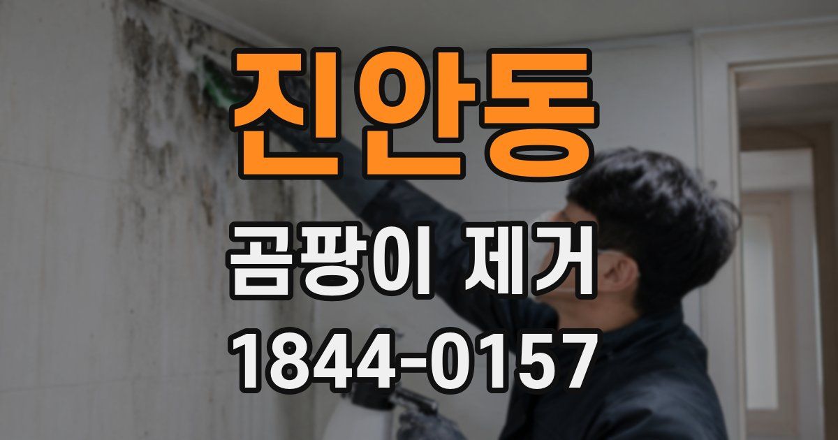 진안동 곰팡이 제거