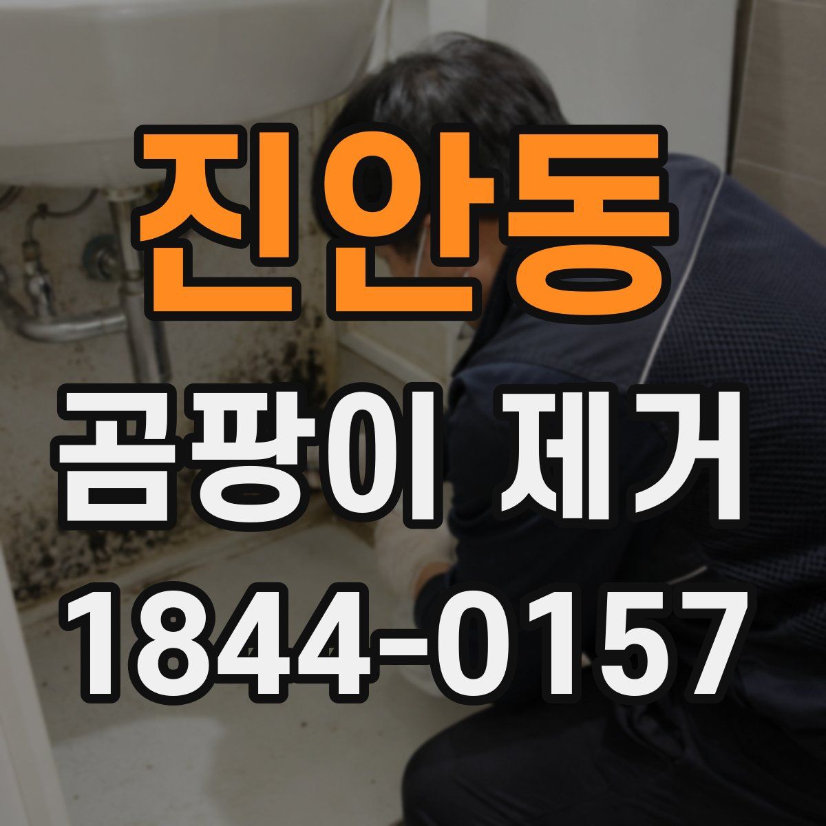 진안동 곰팡이 제거