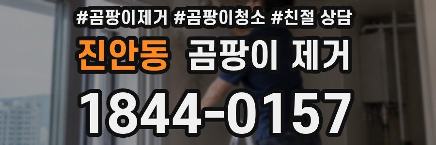 진안동 곰팡이 제거