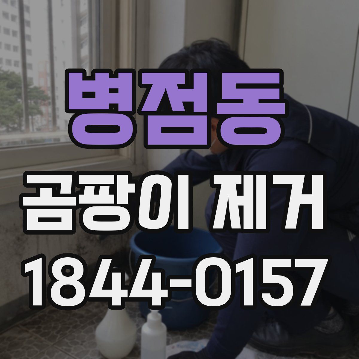 병점동 곰팡이 제거