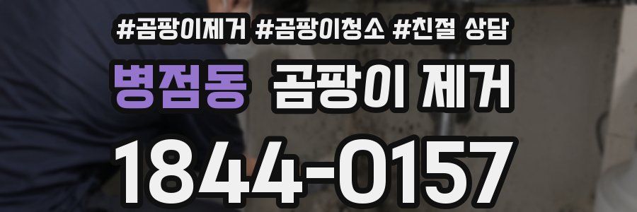 병점동 곰팡이 제거