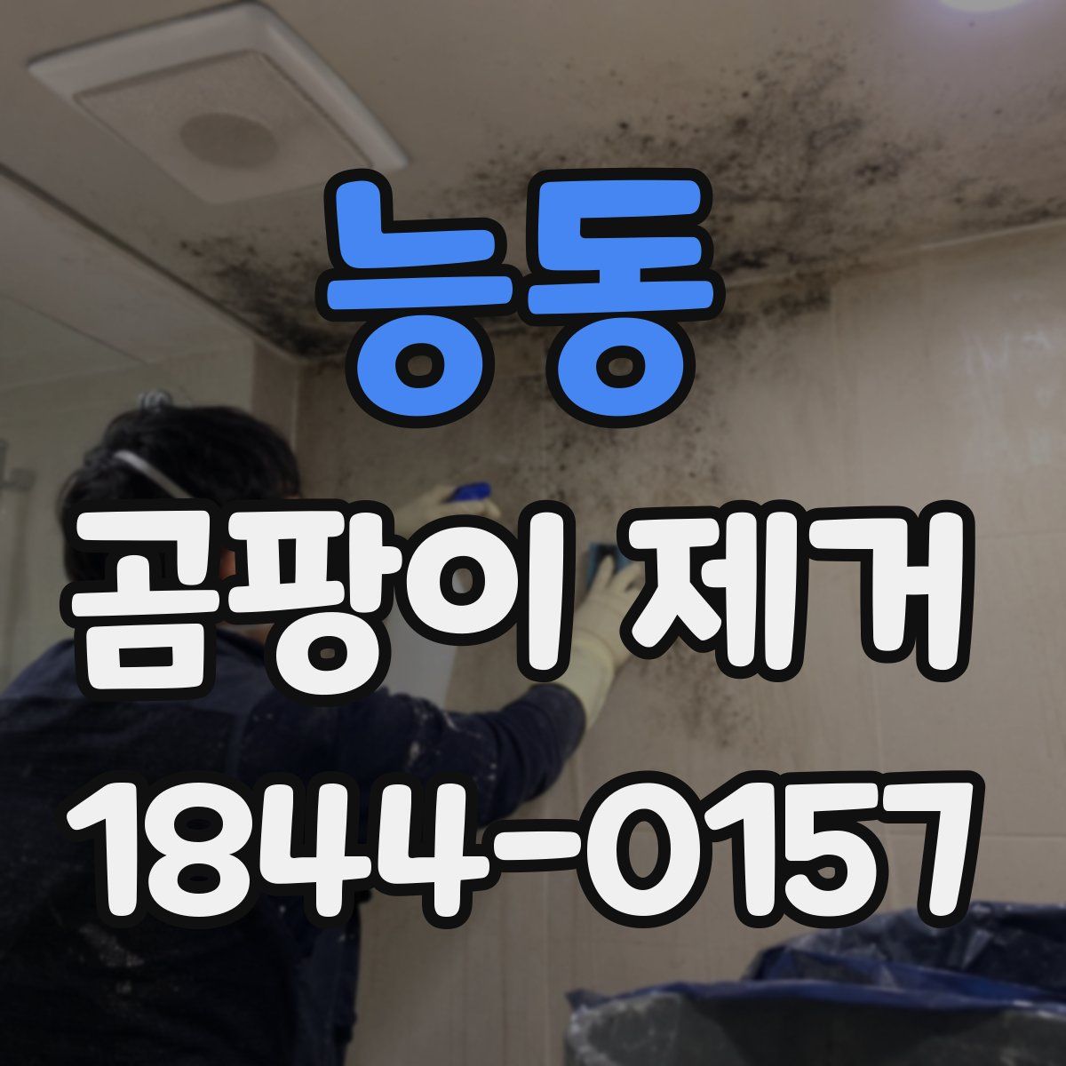 능동 곰팡이 제거
