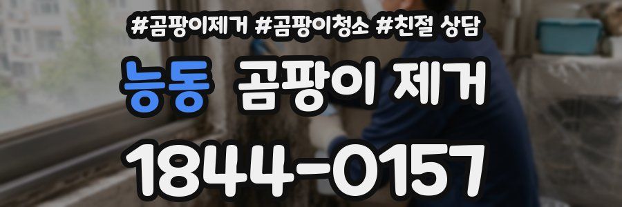 능동 곰팡이 제거