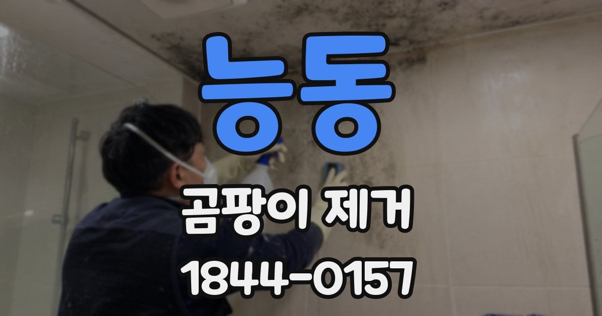능동 곰팡이 제거