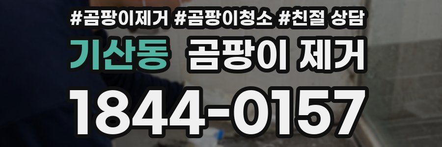 기산동 곰팡이 제거