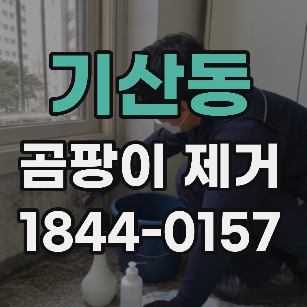 기산동 곰팡이 제거