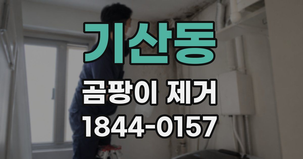 기산동 곰팡이 제거