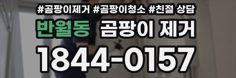 반월동 곰팡이 제거