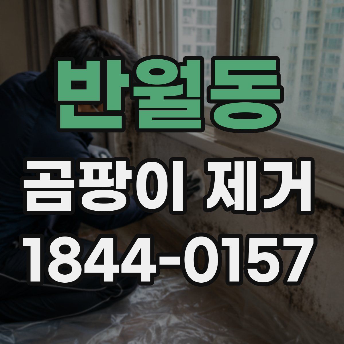반월동 곰팡이 제거