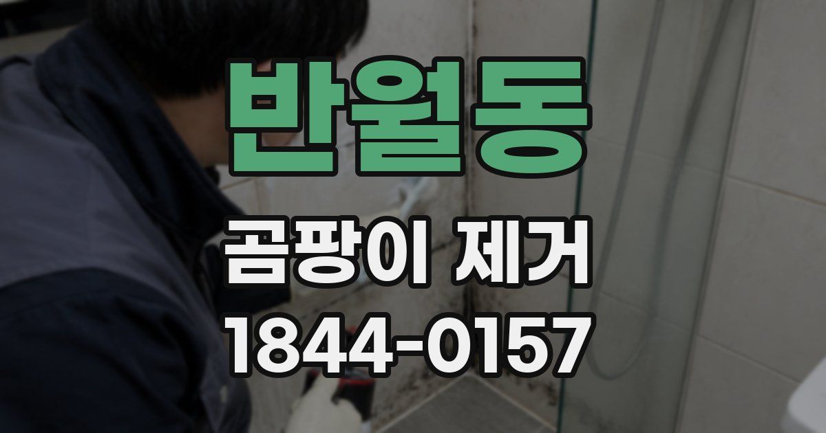 반월동 곰팡이 제거