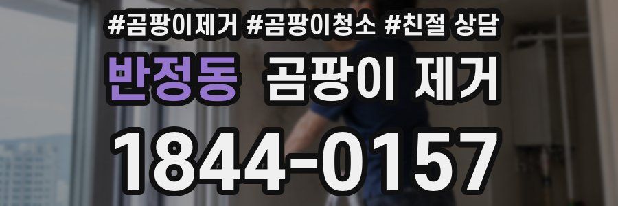 반정동 곰팡이 제거