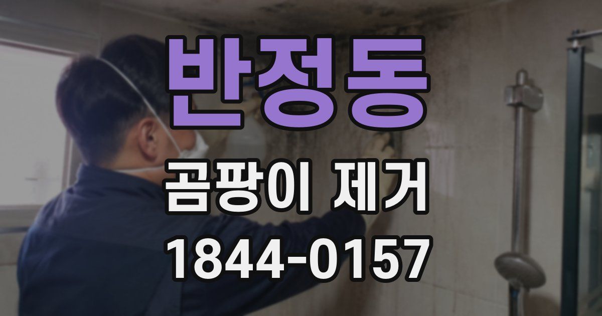 반정동 곰팡이 제거