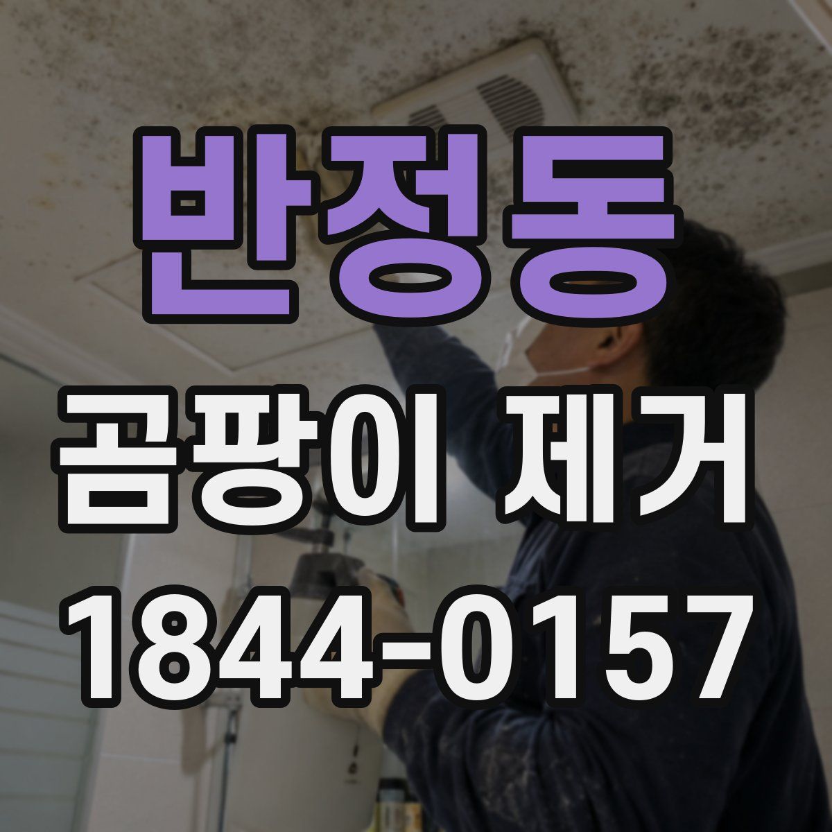 반정동 곰팡이 제거