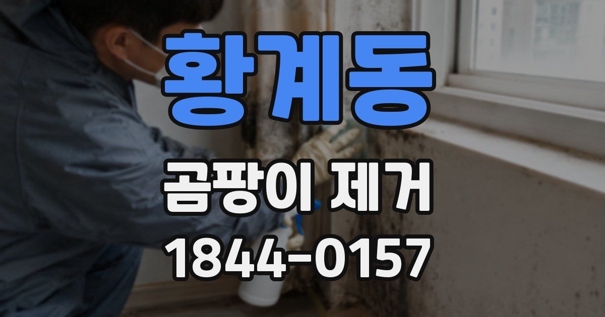 황계동 곰팡이 제거