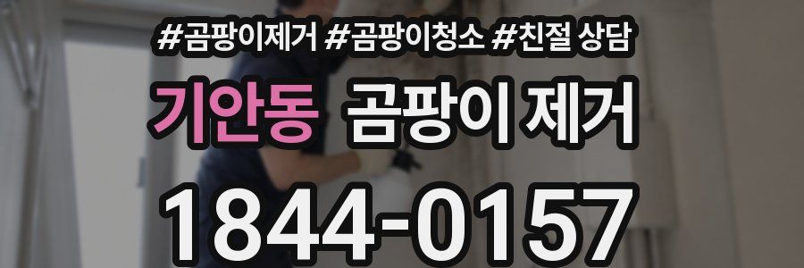 기안동 곰팡이 제거