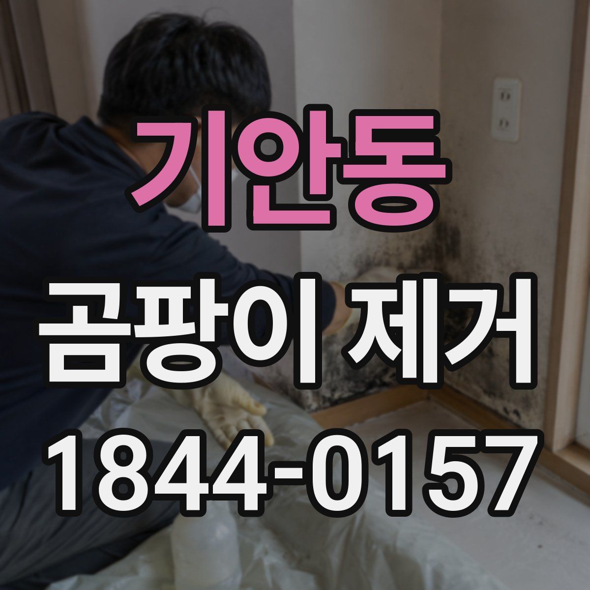 기안동 곰팡이 제거