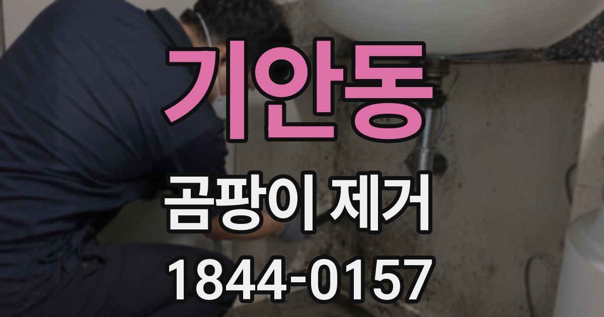 기안동 곰팡이 제거
