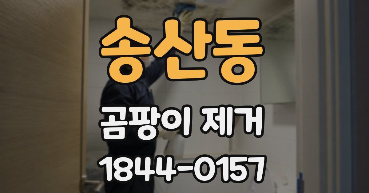 송산동 곰팡이 제거
