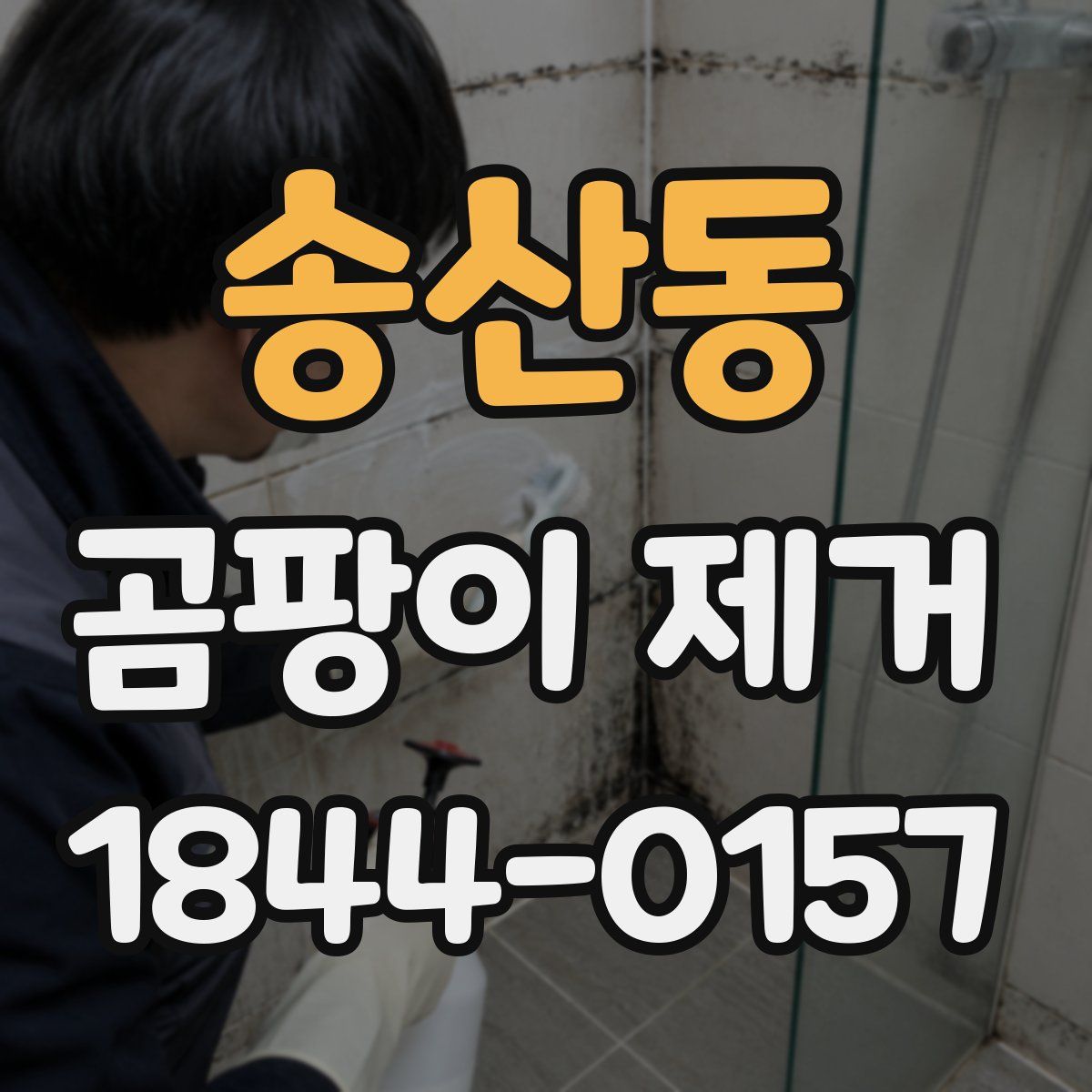 송산동 곰팡이 제거