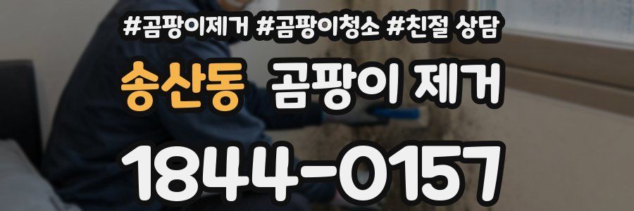 송산동 곰팡이 제거