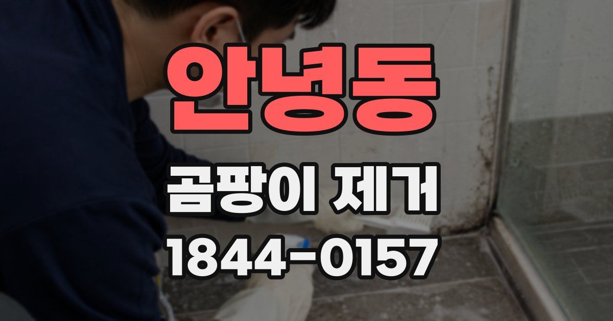 안녕동 곰팡이 제거
