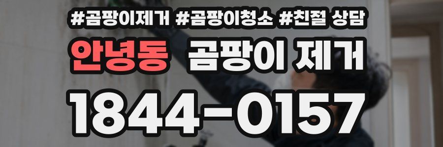 안녕동 곰팡이 제거