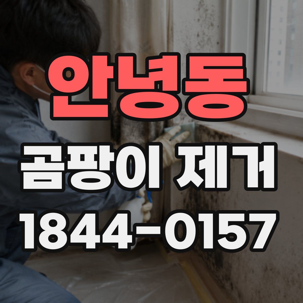 안녕동 곰팡이 제거