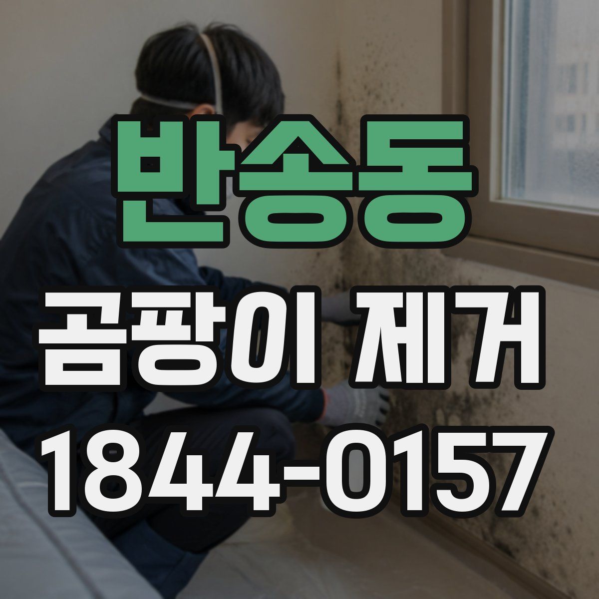 반송동 곰팡이 제거