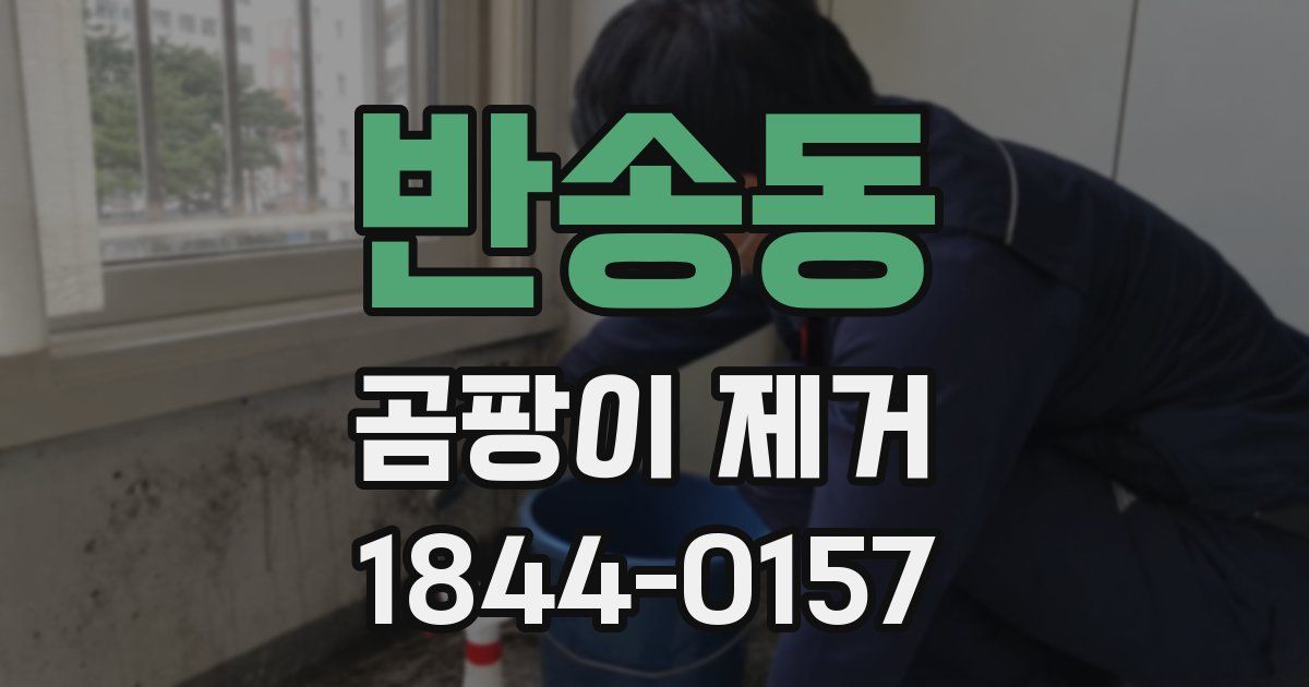 반송동 곰팡이 제거